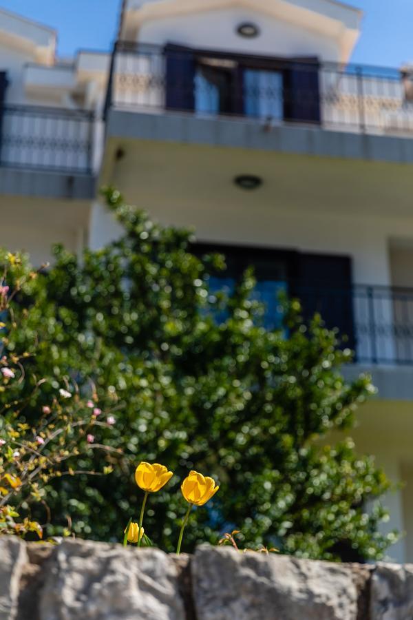 Apartments Miramar โกตอร์ ภายนอก รูปภาพ